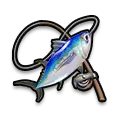 Fishing Tournament